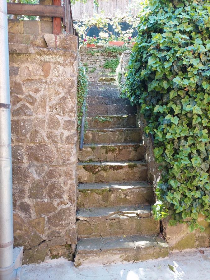 Apartamento Casa Cojo Sighişoara Exterior foto